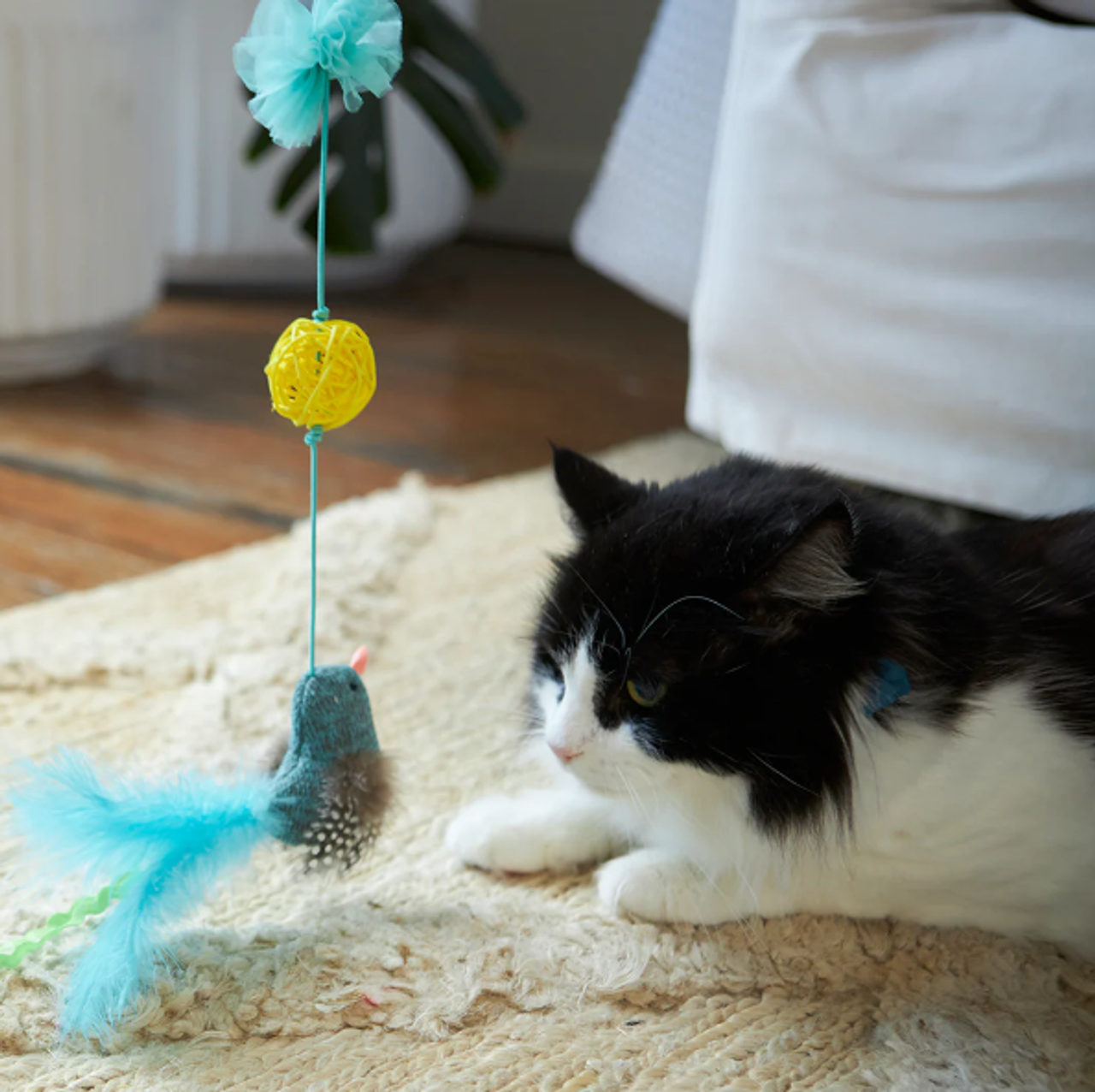 Can Cats Play With Sqeaker Toys