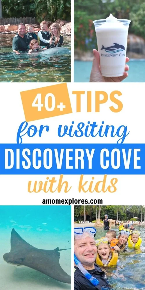 Can I Take Beach Toys to Discovery Cove