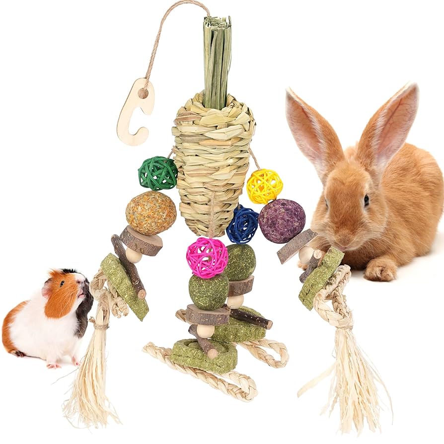 Can Rabbits Play With Bird Toys