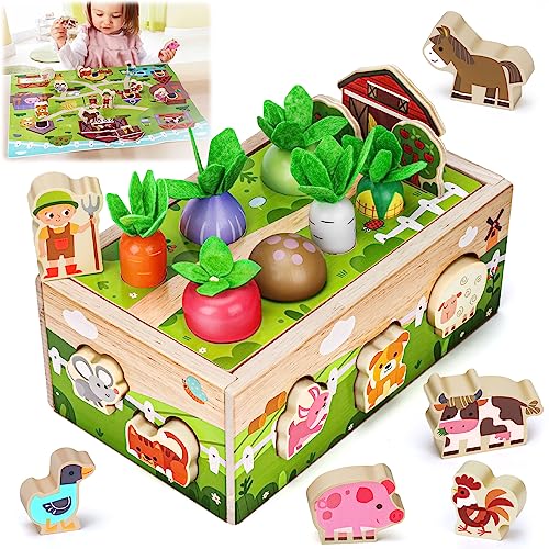 Education Toys for 1 Year Old