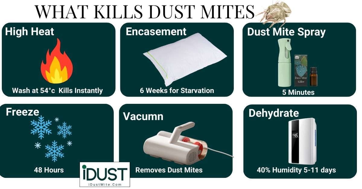 How to Get Rid of Dust Mites in Soft Toys