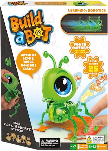How to Make a Insect Robot Toy