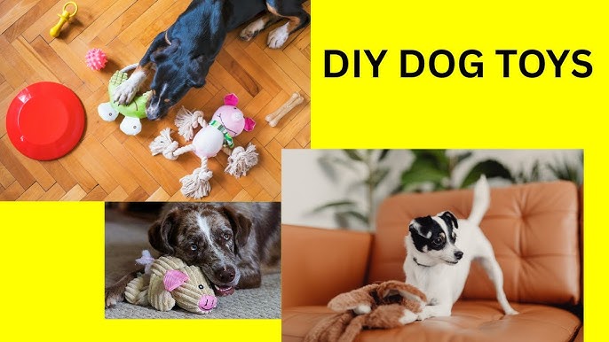 How to Make Dog Play With Toys