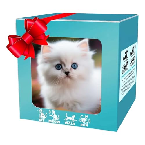 How to Purchase Tokyo Toy Fair Robot Cat