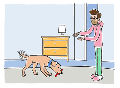 How to Train a Dog to Play With Toys