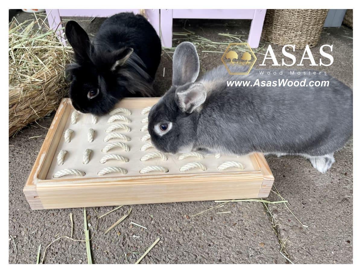 What Toys Can Bunnies Play With
