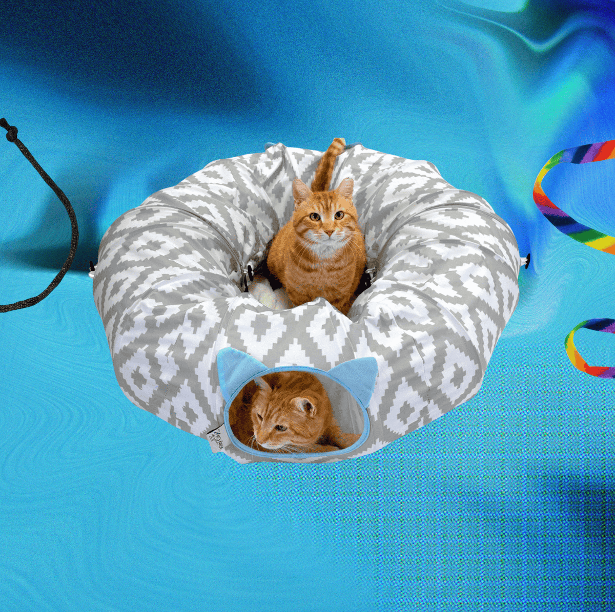 What Toys Do Cats Like to Play With