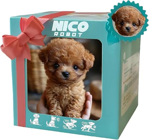 Where to Buy Robot Toy Dog