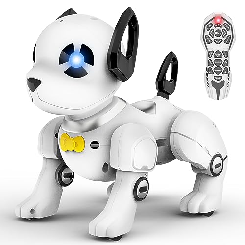 Where to Pawn Toy Robot With Remote Control